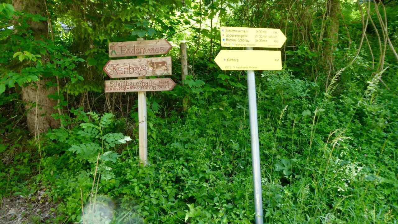 Romantische Ferienhuette Nationalpark Kalkalpen, Sonnig, 2 Schlafzimmer, Wlan Kleinreifling Exterior foto